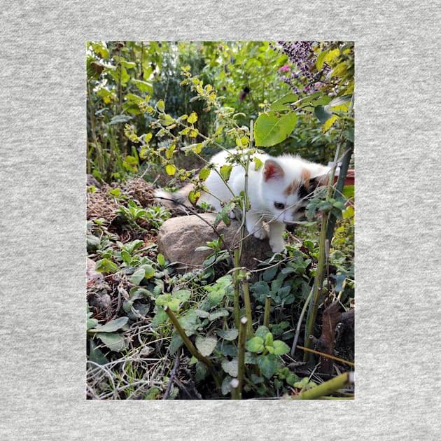 Little cat Susi in the garden by Gourmetkater